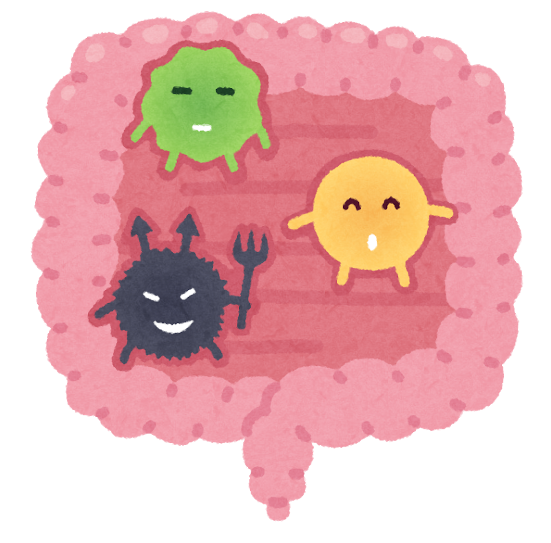 新糖質制限ダイエット