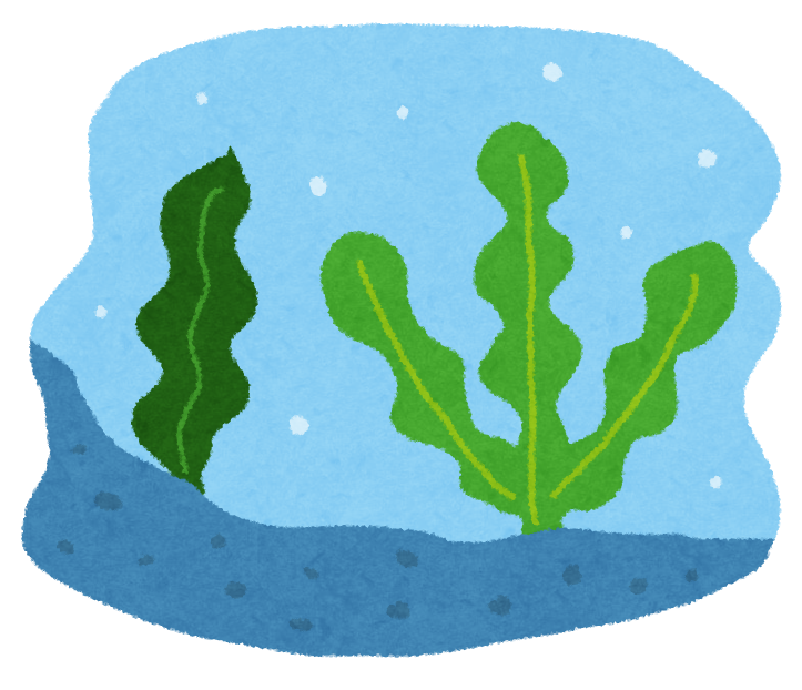 新糖質制限ダイエット