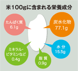 新糖質制限ダイエット